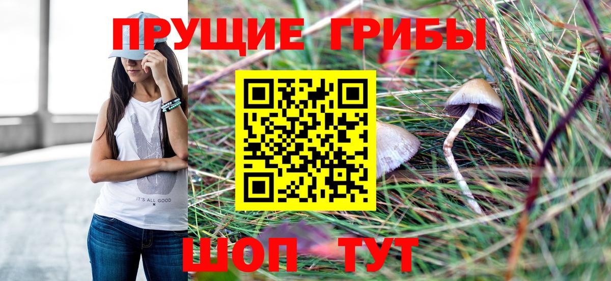 Галлюциногенные грибы Cubensis Бутурлиновка