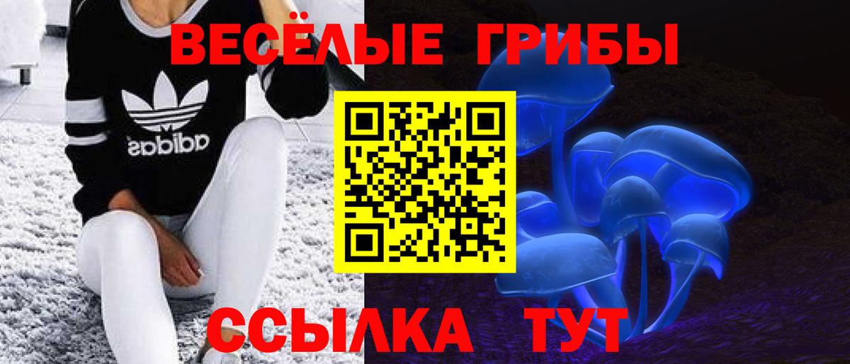 сколько стоит  Галлюциногенные грибы MAGIC MUSHROOMS  Вход с VPN  Бутурлиновка  Псилоцибиновые грибы прущие грибы 